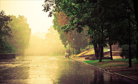 Мариинский парк после дождя