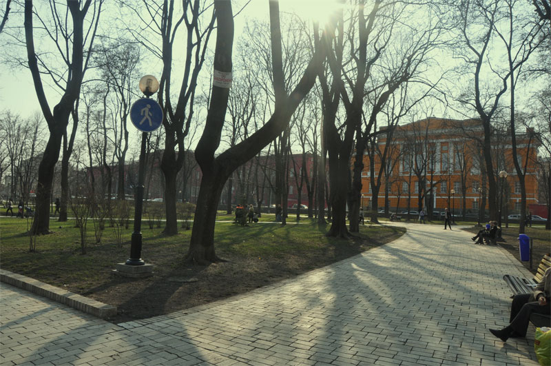 Аллеи в парке Шевченко